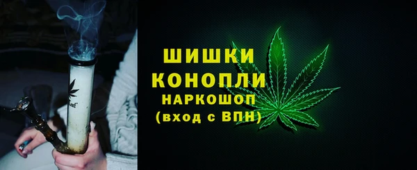 Альфа ПВП Горнозаводск