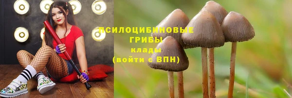 мет Горно-Алтайск