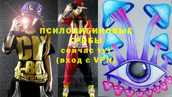бутират Горняк