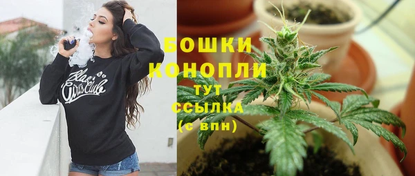 крисы Тында